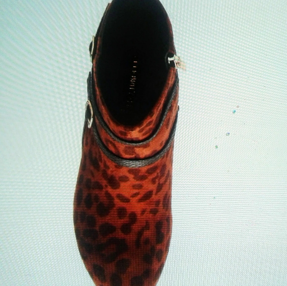 Celebrity Pink Demi Bootie - Picture 6 of 7